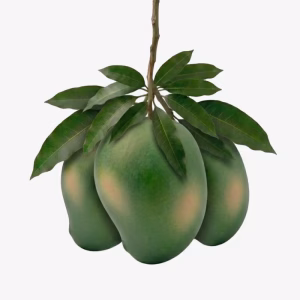 আম্রপালি আম 12 KG